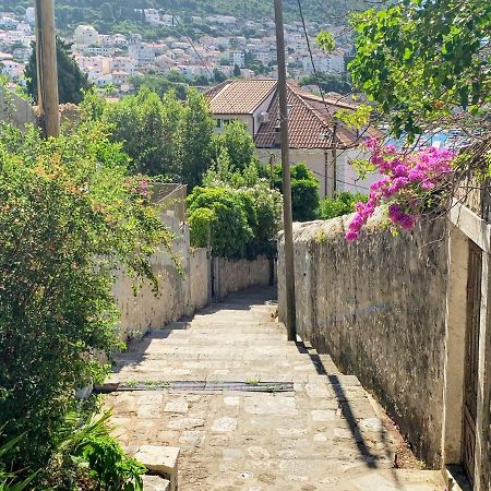 Apartment Svea - Free Parking Dubrovnik Eksteriør billede