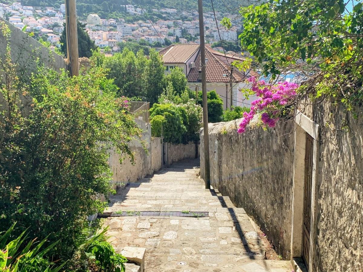 Apartment Svea - Free Parking Dubrovnik Eksteriør billede
