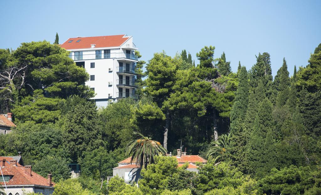 Apartment Svea - Free Parking Dubrovnik Eksteriør billede